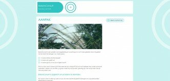 BalansConsult website