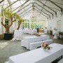 The greenhouse before the guests arrived